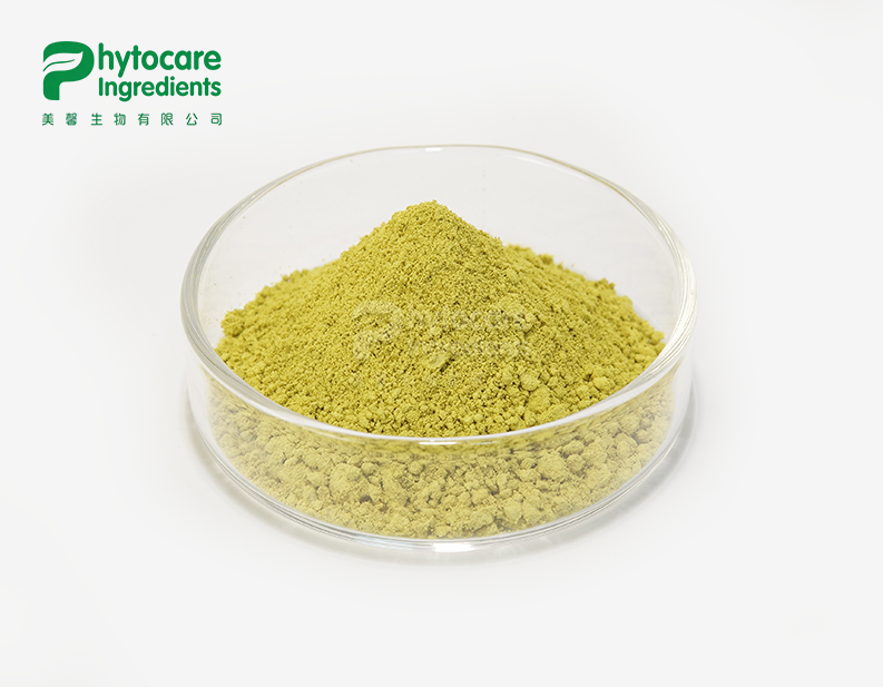Quercetin Powder